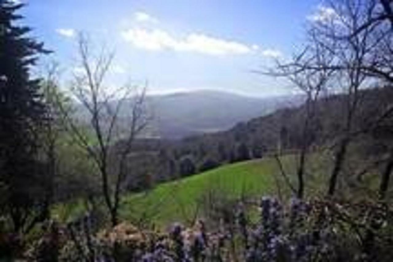 Podere Cerreto Casole dʼElsa Kültér fotó